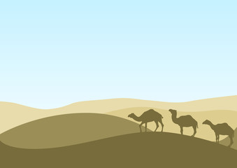Fototapeta na wymiar camel caravan in sand desert