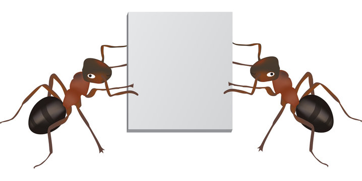 two ants and billboard illustration
