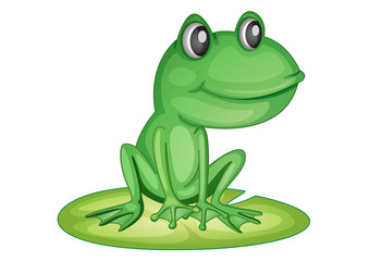 Frog on a lily pad