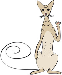 orientale griffe en avant