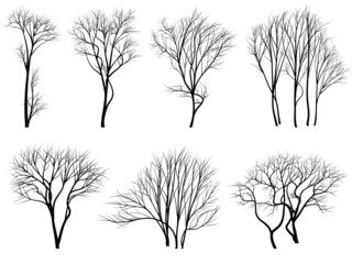 Silhouettes of trees without leaves.