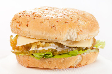 cheeseburger on the plate