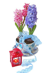 Hyacinths  and flashlight on a white background