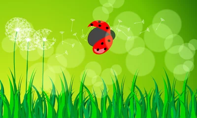 Foto op Plexiglas Prachtige groene lenteweide © Glyph