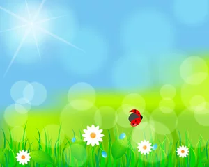 Zelfklevend Fotobehang Prachtige groene lenteweide © Glyph