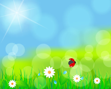 Beautiful green spring meadow