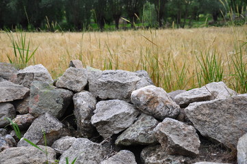 a stone wall (fence) in front of a field