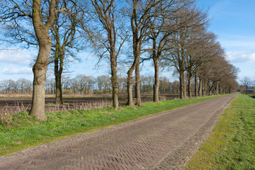 Fototapeta na wymiar Country road in the Netherlands with bare farmland