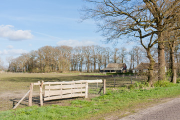 Dutch pasture with farmhouse and fence