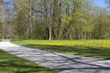 Der englische Garten in München im Frühjahr