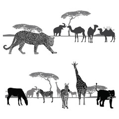 Vector illustration.Africa landscapes.Wildlife