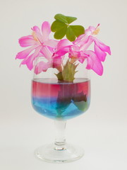 Toast to Nature.