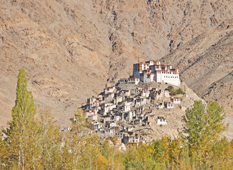 Obraz premium wide shot of buddhist monastery in ladakh india