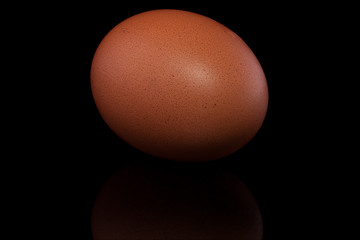 egg