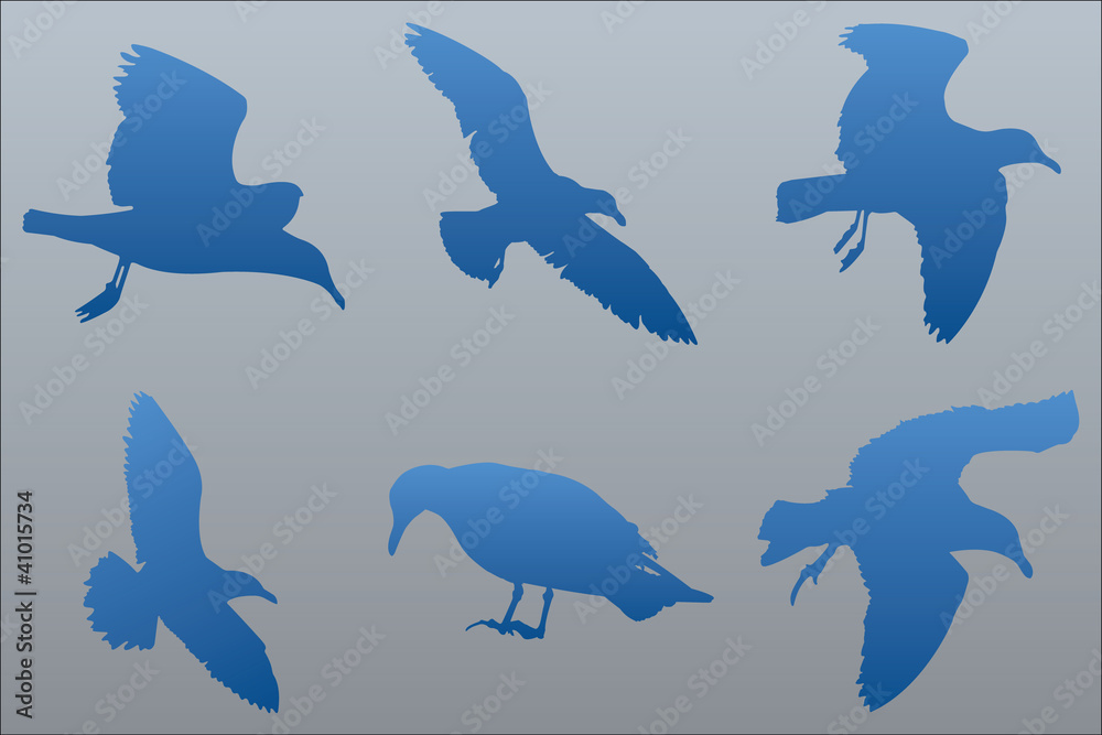 Wall mural Vector Seagull Silhouettes