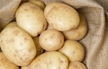 Potatoes in top of hessian sack