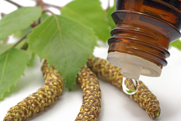 tropfen mit birkenblüte