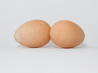 Eggs of a guinea fowl