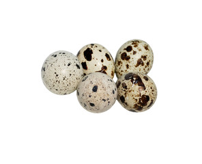quail eggs isolated on white background close up