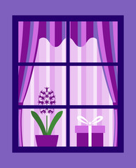 hyacinth behind window