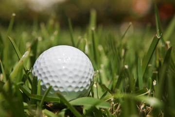 golf ball
