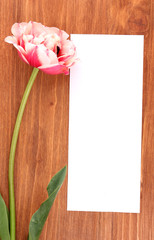 Beautiful tulip and card on wooden background