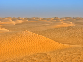 sand dunes of the desert