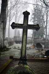 cross in fog at the cemetery