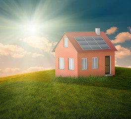 Obraz premium green house