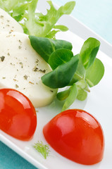 Antipasto con formaggio , pomodorini e insalata, closeup