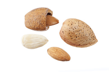 Mandorle, varie versioni, isolate su bianco