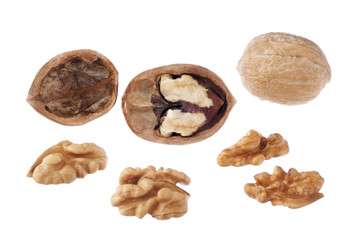 Closed and cracked walnut close up, isolated on white