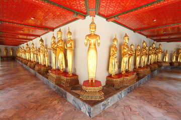 Many statues of buddha stand at pho temple, Thailand