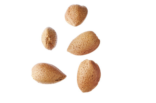 Mandorle chiuse, vari punti di vista