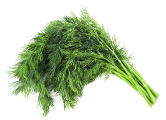 fennel