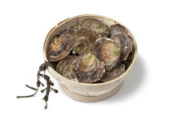 Fresh European flat oysters in a basket