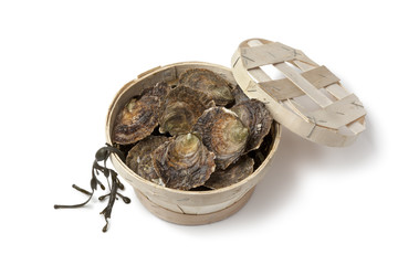 Fresh European flat oysters in a basket