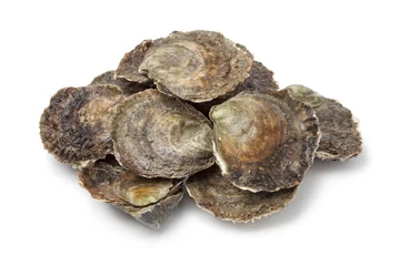 Foto auf Alu-Dibond Fresh European flat oysters © Picture Partners
