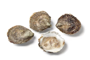 Papier Peint photo autocollant Crustacés Open and closed European flat oysters