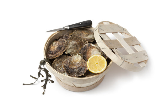 Fresh European flat oysters in a basket