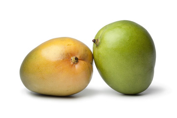 Pair of fresh Mangos