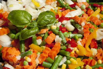 BASILIKUM WITH GEMÜSE© Herby Meseritsch