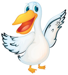 Animated pelican