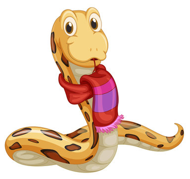 Snake in a scarf