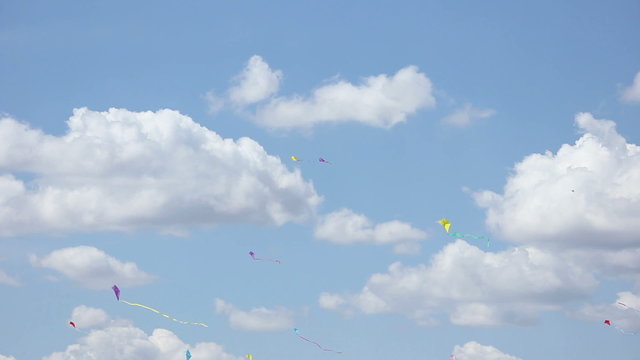 kite 01