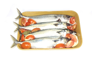 maquereaux