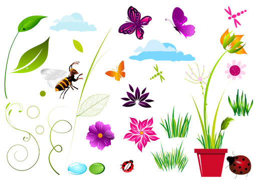 &eacute;l&eacute;ments nature