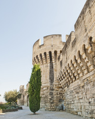 Naklejka premium Wall with Towers & Gate at Avignon France