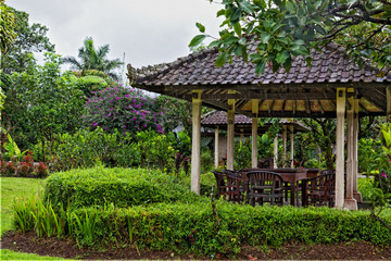 Fototapeta na wymiar Arbor in thickets of tropical plants under a tropical rain