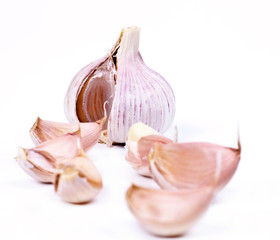 garlic on a white background